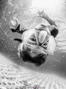 "He who would search for pearls must dive below." John Dr... by Stefan Follows 